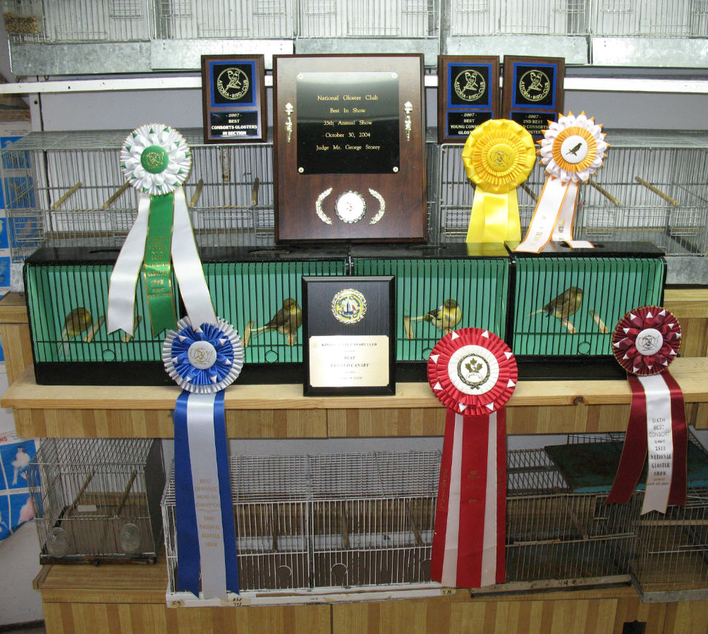 Premier Gloster Canary Fancy Breeder Pat Riccio